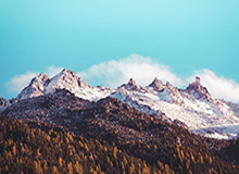 老马墓碑刻“感谢足球” 足球：“感谢你跟我一起踢”